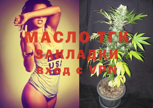 молекула духа Арсеньев