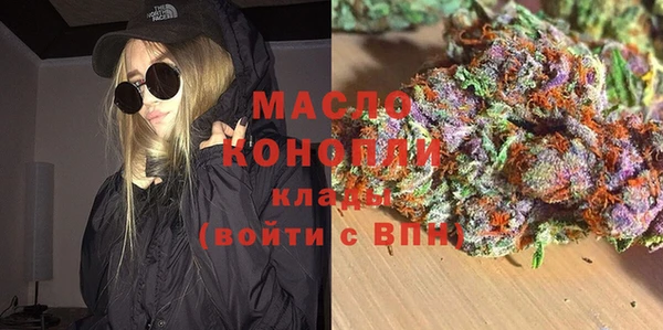 молекула духа Арсеньев