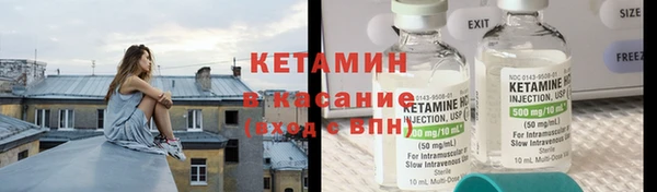 трава Аркадак