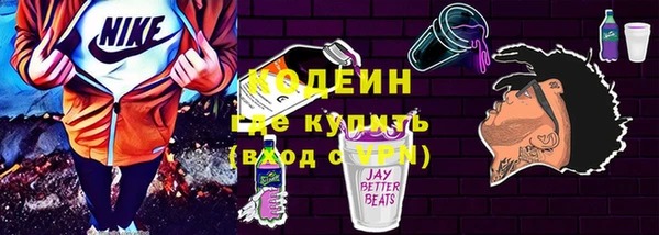 молекула духа Арсеньев