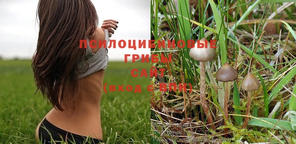 бошки Россошь