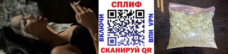 где найти Прохладный МАРИХУАНА конопля
